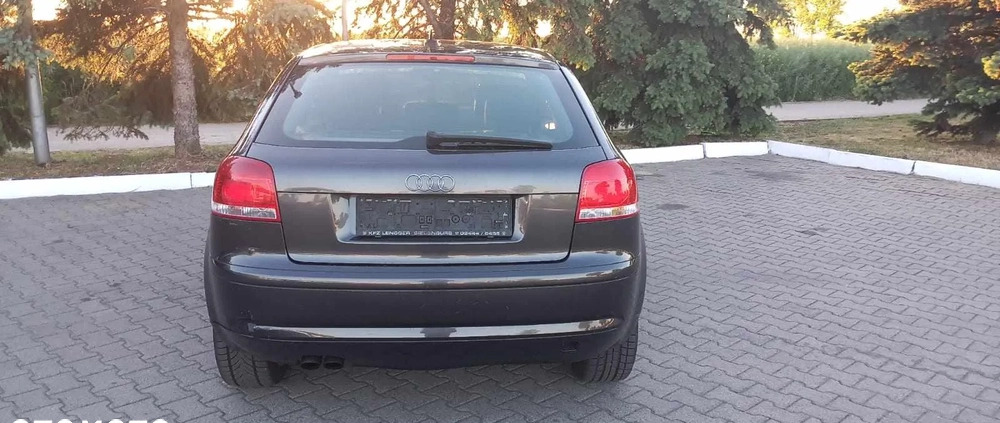 Audi A3 cena 9300 przebieg: 242000, rok produkcji 2003 z Bojanowo małe 379